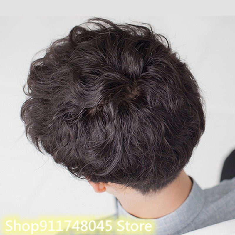 Men's Wigs Korean Short Wigs Hair Wig Handsome Men's Short Curly Hair Style Wig Realistic Natural High-Temperature Silk Fiber