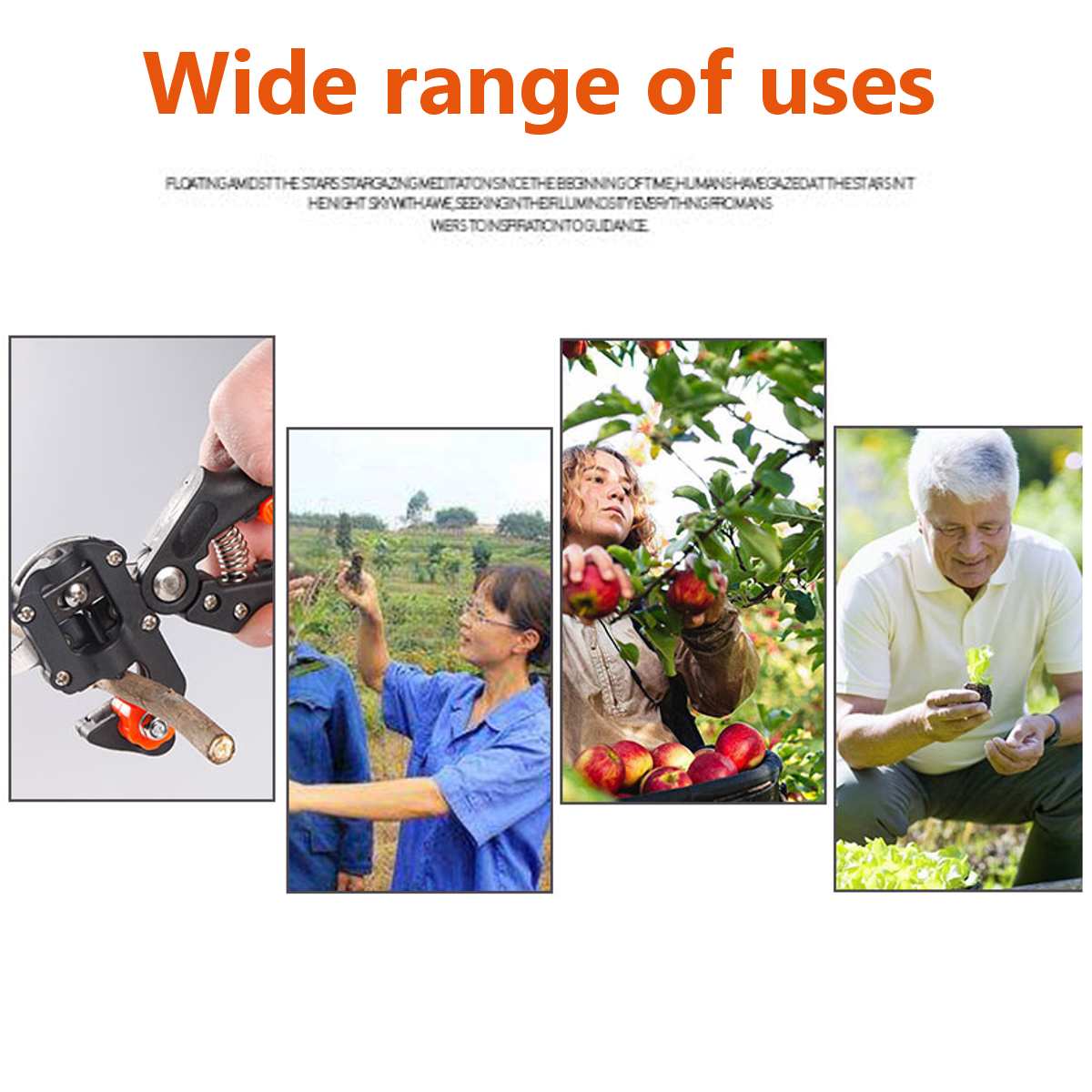 5 Pcs Nursery Grafting Tool Garden Branch Cutter Plant Cut Scissor Shear floristry grape Secateur Fruit Tree pruning vine Seed