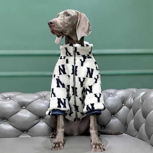 Large Dog Clothes Winter Thick and Warm Dog Coats Labrador Golden Retriever Doberman Greyhound Dog Jacket Dog Accessories: small dog L / 001