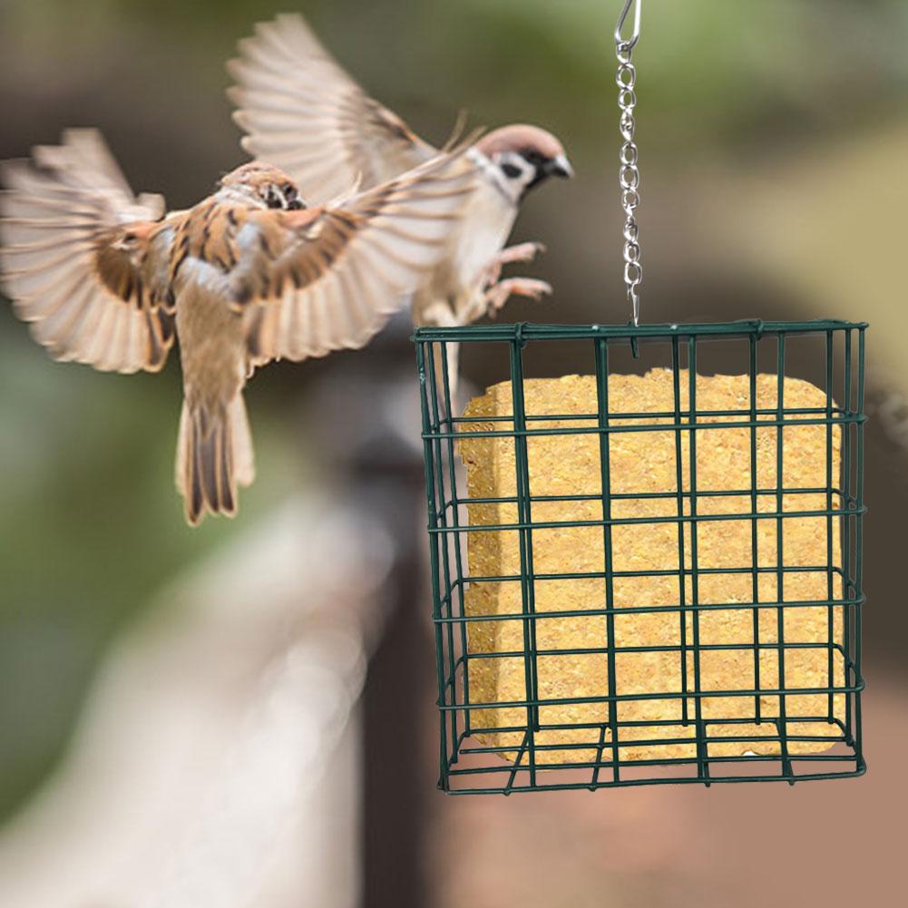 GardenersDream Vetbollen - Hoog Energie Voer Wilde Tuin Vogel Voedsel Snacks