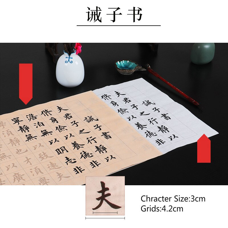Medium Regular Script Calligraphy Copybook Beginner Chinese Calligraphy Practice Copybooks 40pcs Brush Calligraphie Copybook: N