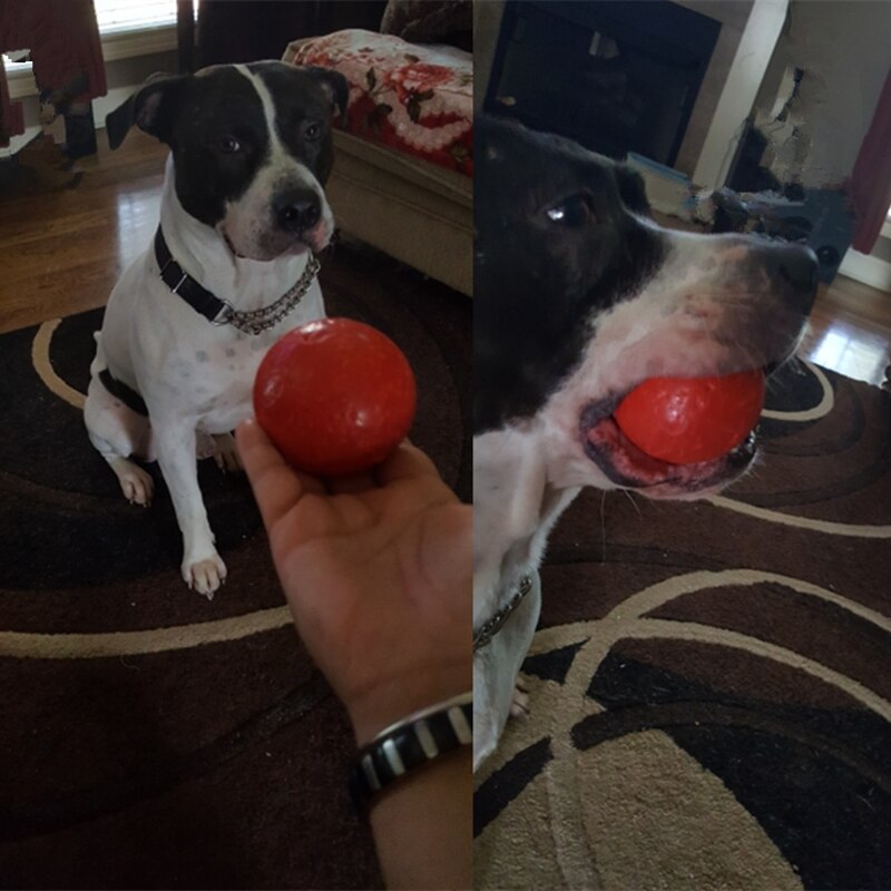 Uforgængelig hundebold hård stærk giftfri tyggelegetøj naturgummi hoppende hundebold til aggressive tyggere