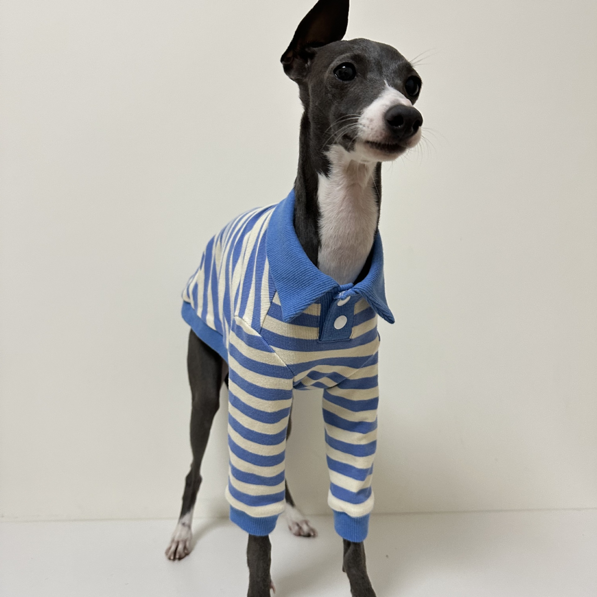 Camisa polo para animais de estimação tecido de algodão puro estiramento galgo italiano Whippet Bedlington Terrier roupas para cães