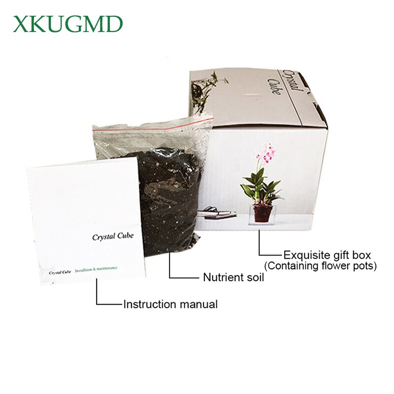 Transparent Flower Pot Automatic Water Absorption Pot Automatic Irrigation Hydroponic Plastic Desktop Square Fish Tank