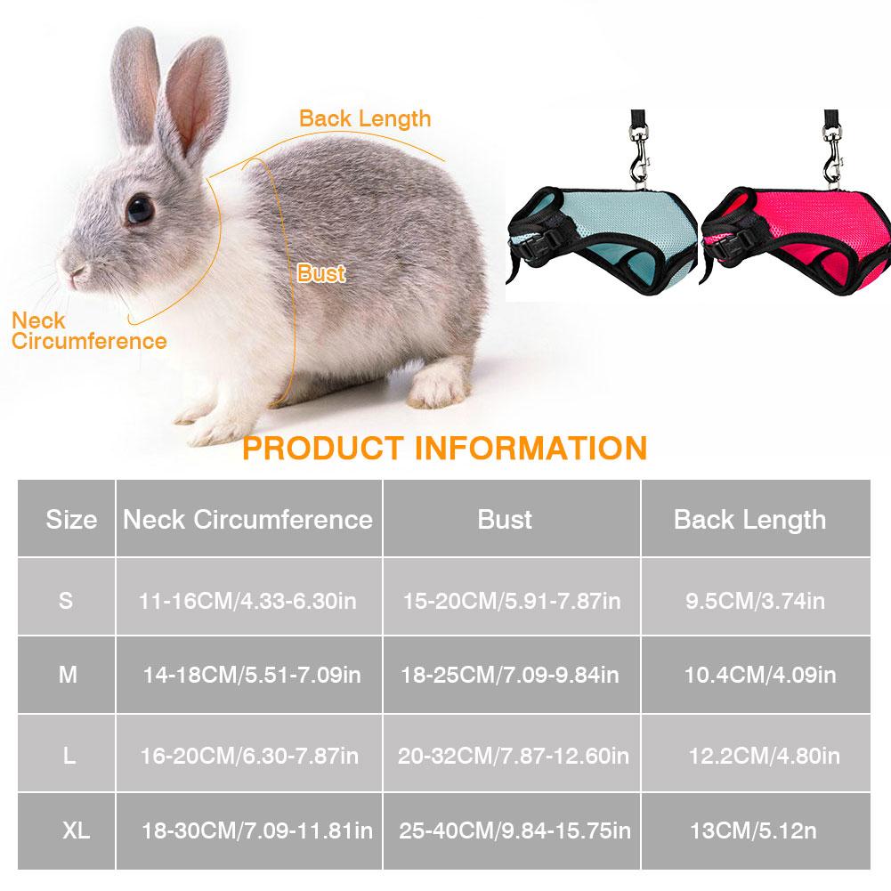 impostato di imbracature e guinzagli per conigli impostato di imbracature e guinzagli per piccoli animali morbidi per coniglietti coniglietti