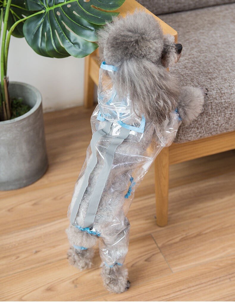 Transparent Raincoat with Hat Waterproof Dog Puppy Rain Coat Pet Raincoats For Small Dogs Pets Clothes Schnauzer Yorkie XPC02: Blue / XL