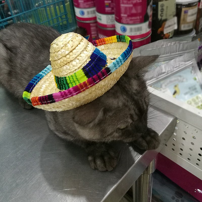Sombrero mejicano de paja con hebilla ajustable para mascotas, Sombrero tejido de paja para perros, traje ajustable