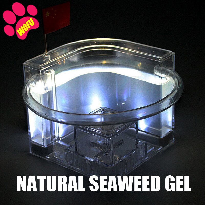 WOFUWOFU Lnsect Hotel，Ant Farm，Ant Glow Ocean View Villa Big Ants House Ant Nest Villa Insect Pet Anthill: White with light