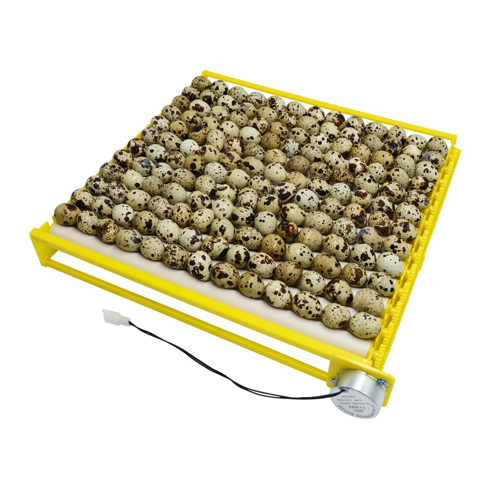 Automatische Roller Eierbak 360 ° Roterende Eierdraaier 220V Eieren Incubator Patroon Ei Incubatie Accessoire Voor Vogelkip