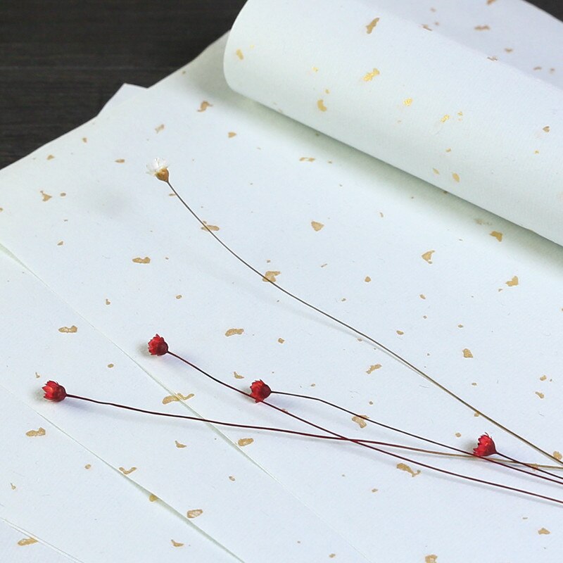 Papier de papeterie de Style chinois ancien, 29x19cm, pour peinture de plantes anciennes, fait à la main, papier de riz semi-mûr, tête de lettre: B2