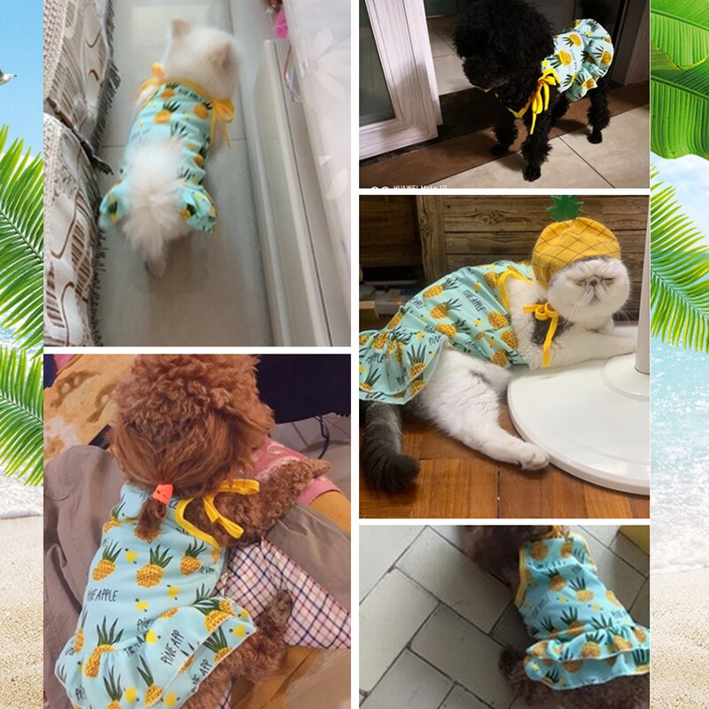 Fruit Print Pet Dog Jurken Voor Kleine Honden Kleding Zomer Jurk Leuke Jurk, puppy Hond Kleren Chihuahua Honden Huisdieren Kleding Grappige