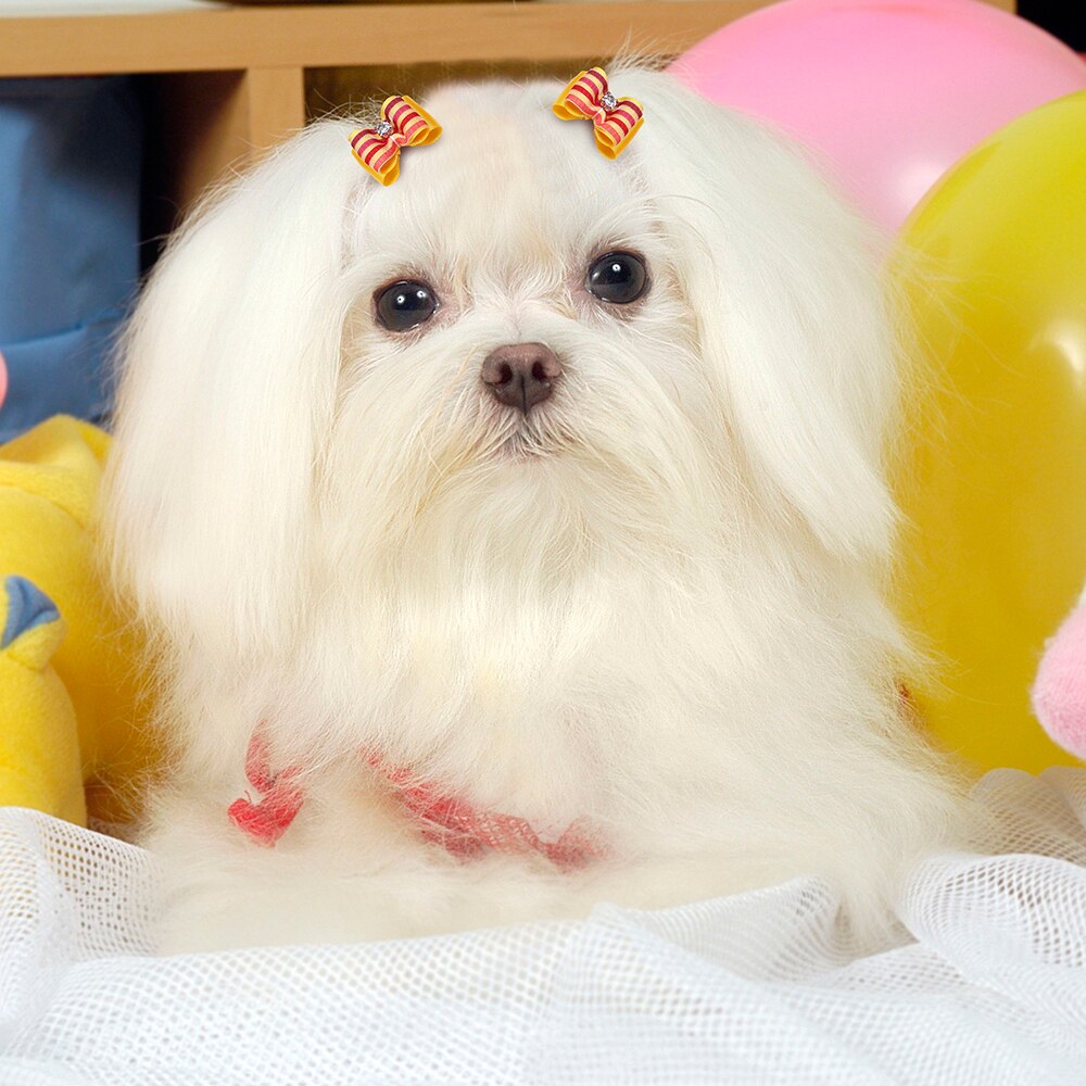 100Pcs Kleine Puppy Hond Kat Haarelastiekjes Met Strass Gemengde Patronen Hond Grooming Accessoires Voor Kleine Honden huisdier Producten