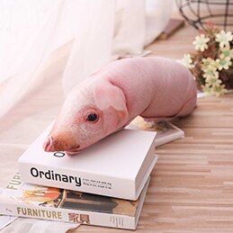 Gesimuleerde Pig Korte Pluche Kussen Dieren Gevulde Slapen Kussens Kids Volwassenen Huisdieren Bolster Sofa Stoel Decor Beddengoed/Vriend