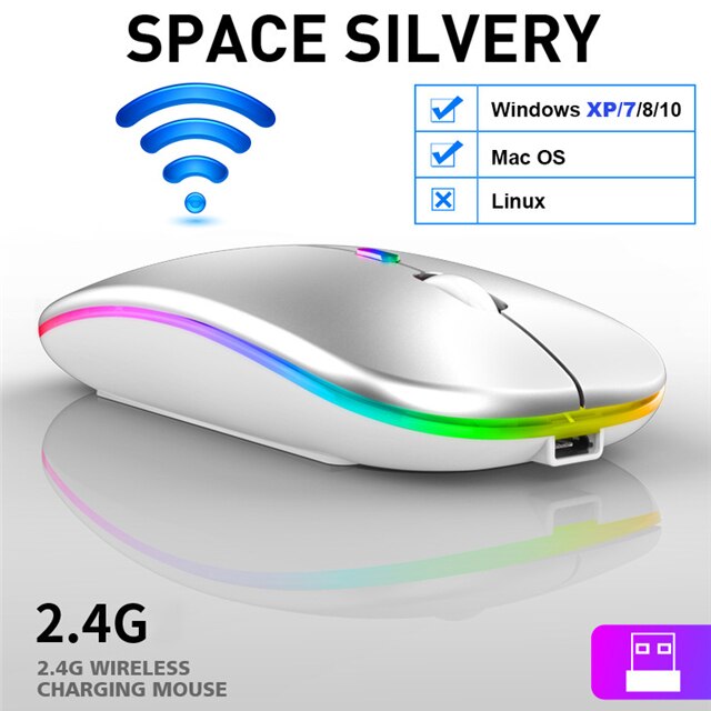 Oplaadbare Draadloze Muis Bluetooth Muis Stille Mause Wifi Muis Ergonomisch Mini Muis Usb Optische Muizen Voor Pc Laptop Desktop: Wireless Silver