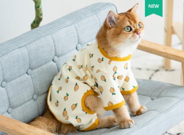 Ropa de invierno para gatos, abrigo para cachorros y gatitos, chaqueta para perros pequeños y medianos, C: A / XS