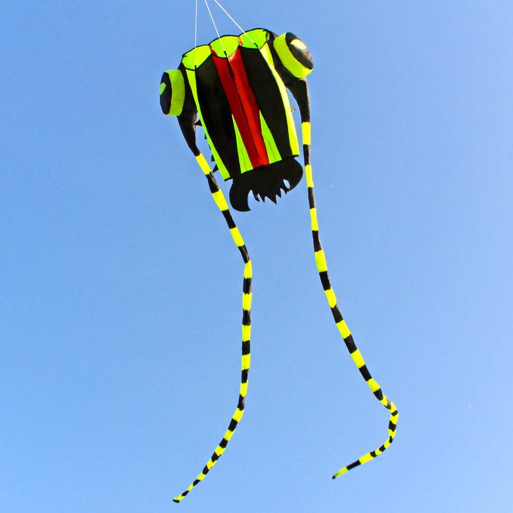 KITE-Large Easy Flyer Soft Kite for Kids-Colorful Green Trilobite-It's Big! 30 Inches Wide with Two 130 Inches Long Tails