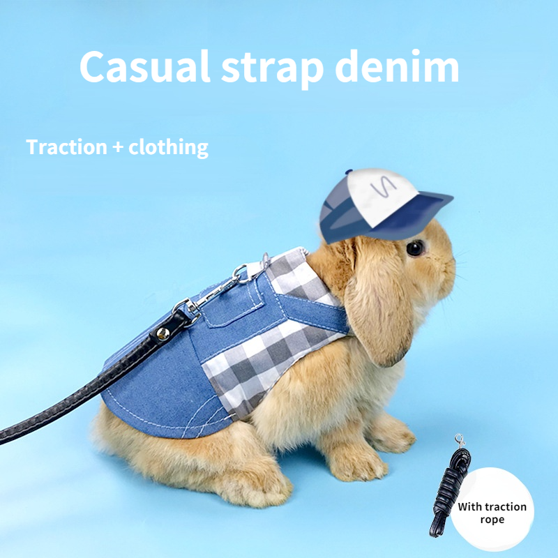 Vêtements pour animaux de compagnie lapin, harnais, laisses, cochon d&#39;inde, gilet, veste en denim, chapeau de sport, manteau pour lapin furet hamster