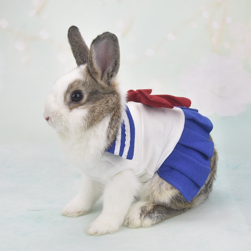 Bunny Rabbit Guinea Pig Bow Dress Tutu Skirt Clothes For Small Dog Cat Chihuahua Small Animal Chinchilla Costume Vest Hoodie