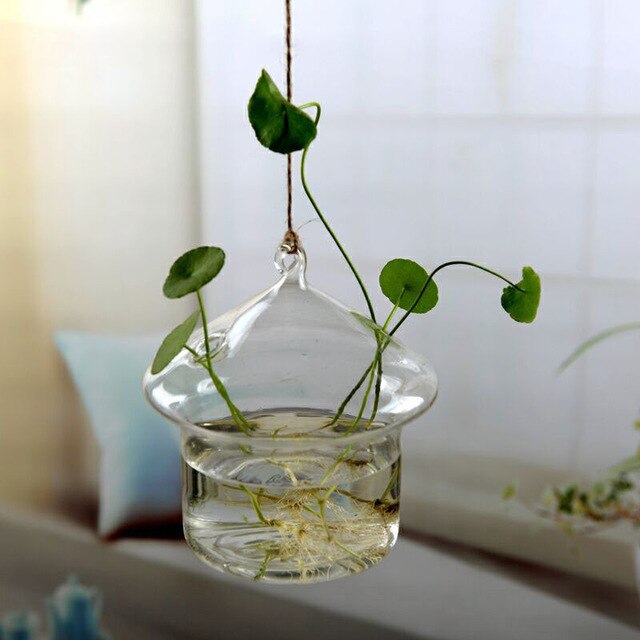 Flower Hanging Vase Glass Planter Plant Terrarium Container Home Wedding Deco: F