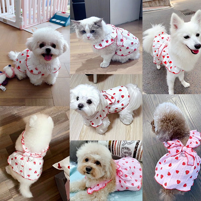Vestido de verão para cachorro, saia fofa com estampa de morango e laço, vestido de princesa para gato, chihuahua yorkie, saias doces, fantasia de cachorro, roupas para animais de estimação