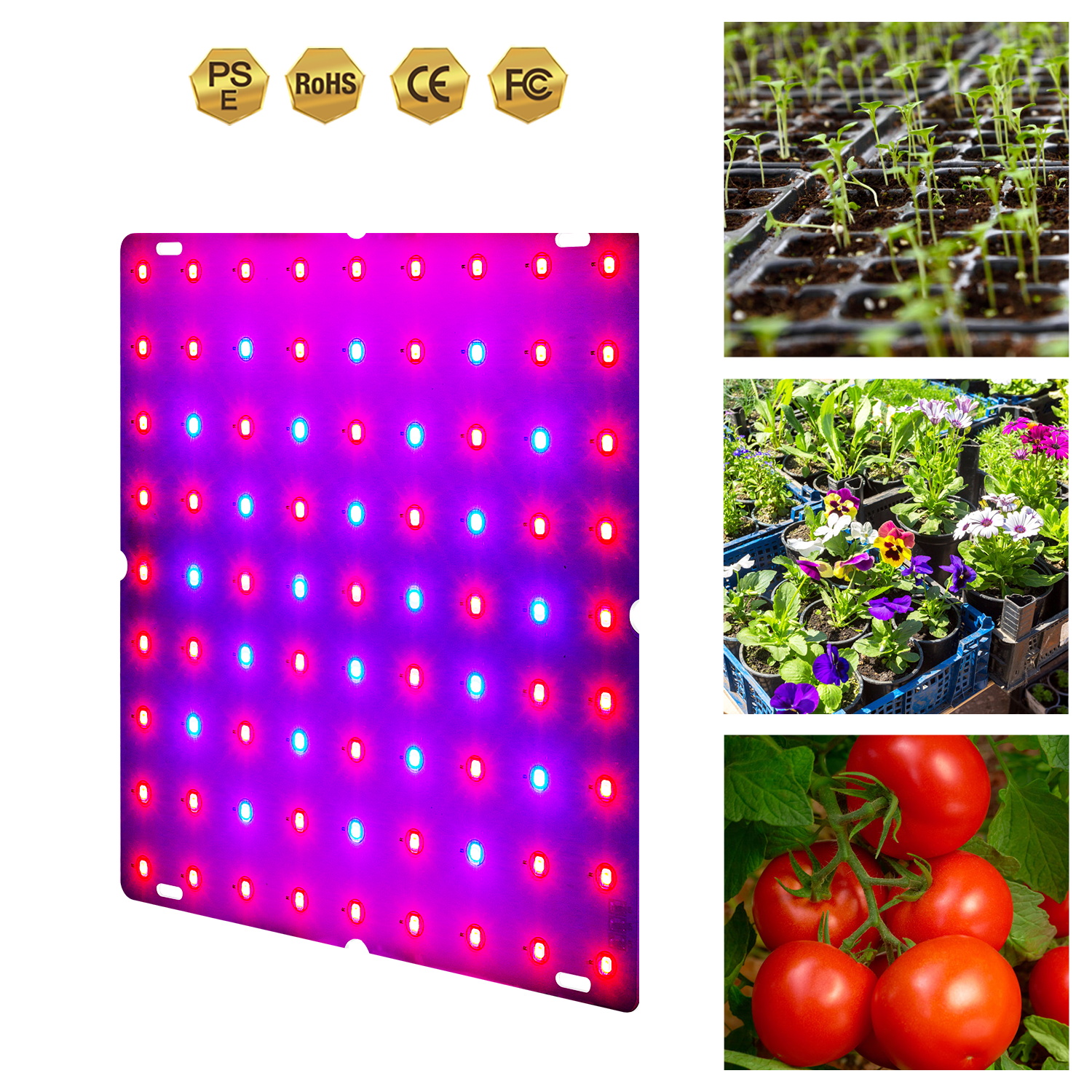 Fito-Fito de espectro completo de 220V, luz LED para cultivo de plantas, 200W, para semilleros, tablero cuántico, lámparas de 300W, caja de tienda de cultivo hidropónico