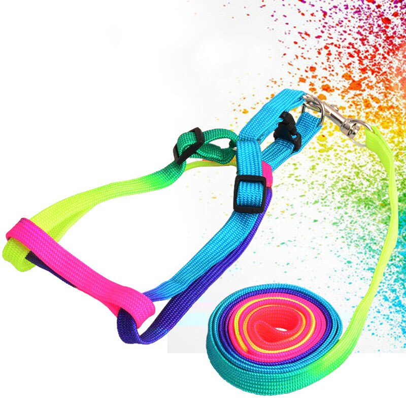 Colorful Rainbow Pet Dog Collar Harness Leash Soft Walking Harness Lead Colorful and Durable Traction Rope Nylon 120cm: Default Title