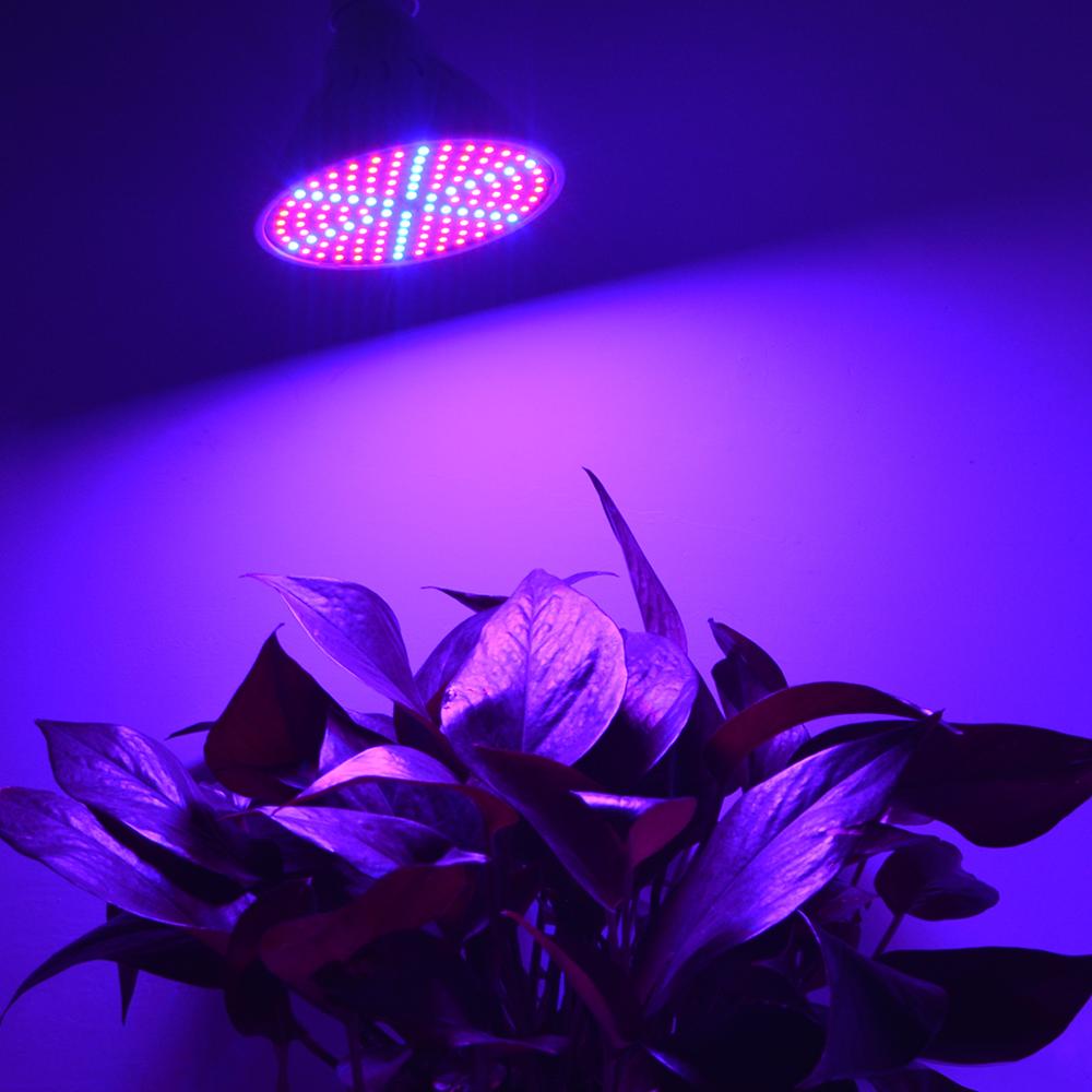 Lámpara LED de cultivo hidropónico para invernadero lámpara LED de 60, 126 y 200 leds para plantas suculentas y flores, Bombilla de AC85V-265V E27 para invernadero de interior