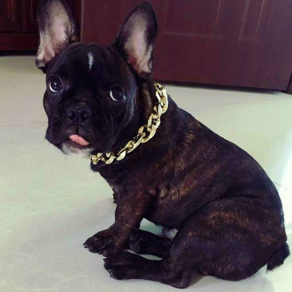 chien collier pour animaux de compagnie chaîne épaisse collier en plastique plaqué or chiot collier bijoux accessoires pendentif chaîne en or