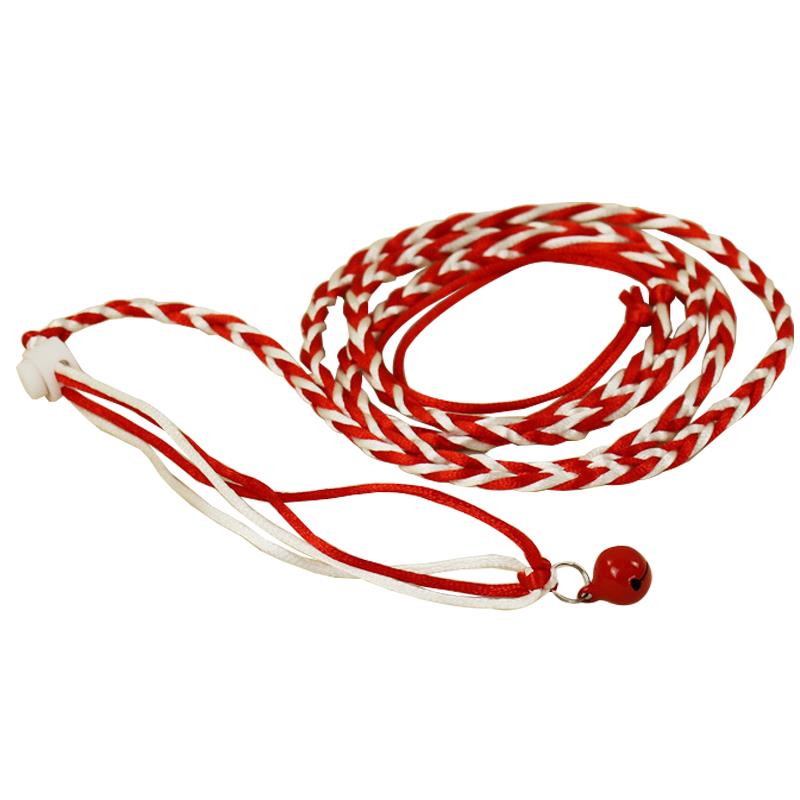 Kapmore 1pc Kleine Ebene Leine Verstellbare Geflochtene Ratte Leine Hamster Leine Mit Glocke Haustier Liefert Haustier Zubehör: rot