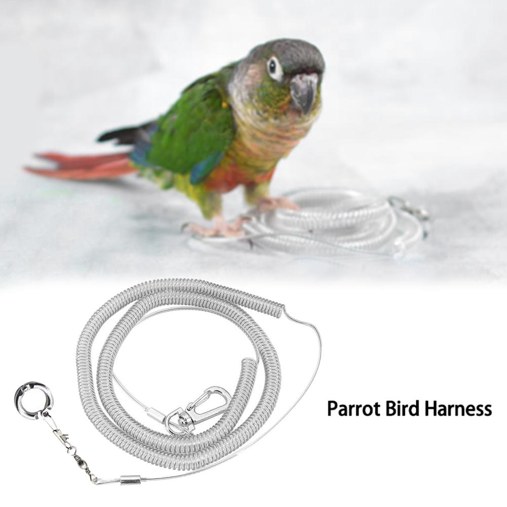 Correa Flexible para pájaros de 3M con anillo para la pierna, arnés ultraligero para loro, pájaro, antimordedura, cuerda de entrenamiento de vuelo al aire libre para Guacamayo, cacatúa