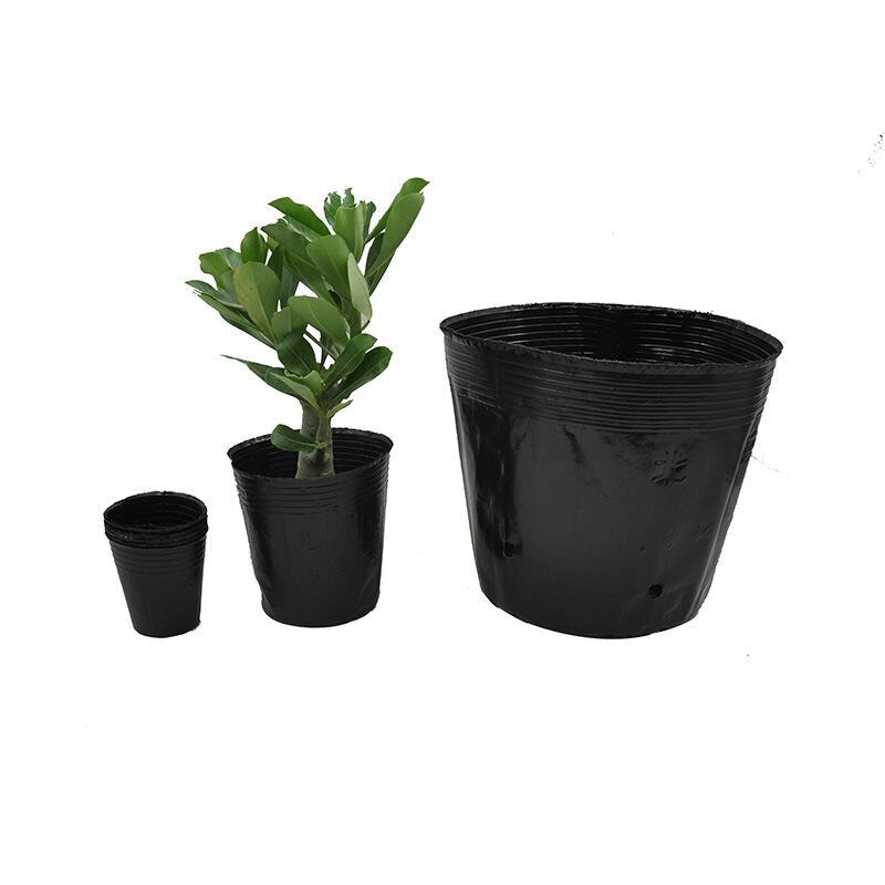 Nursery Pot Plastic Plant Pots Nursery Seedlings Pots Seed Starting Pots Flower Plant Container for Gardener 6.5X6.5cm