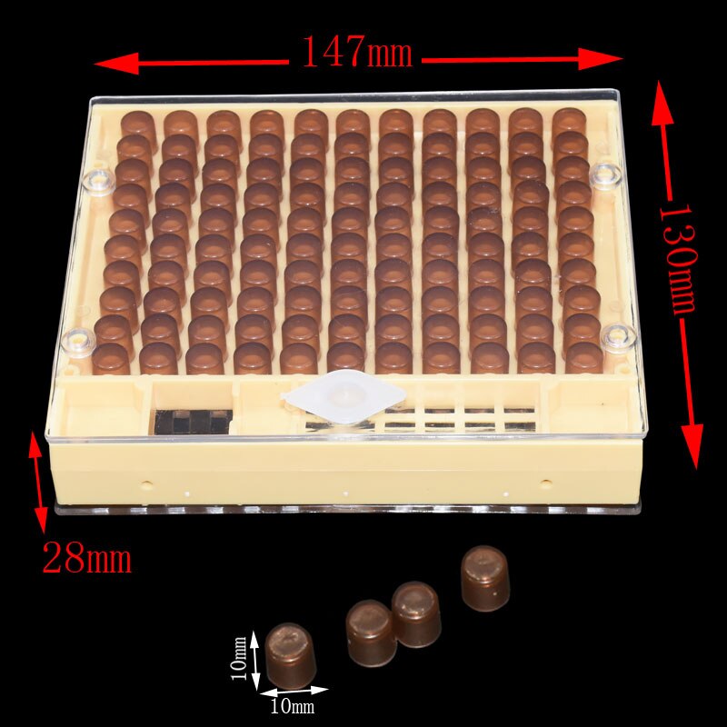 1set Beekeeping Queen Rearing Cupkit Box 125x Brow... – Grandado