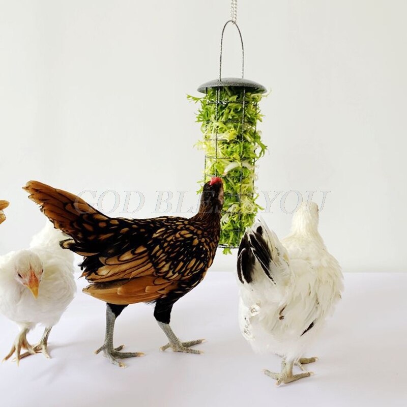 Cesta de alimentación para pollos, alimentador de verduras, frutas, verduras, Paloma, polluelo, gallina, diversión, caja de tratamiento de Metal, herramienta de alimentación