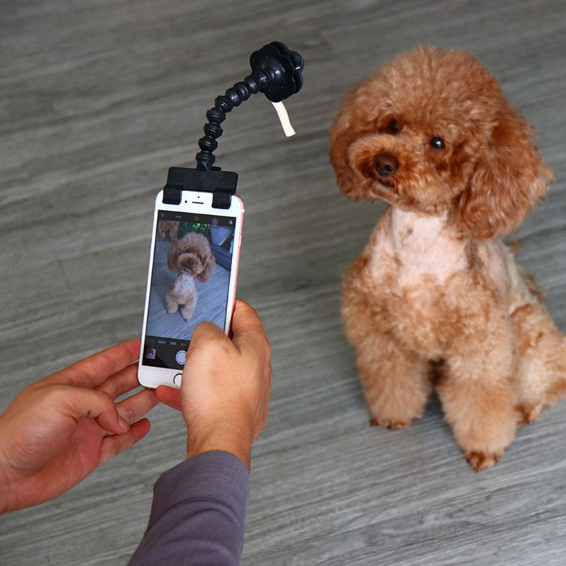 Verstelbare Verstelbare Pet Selfie Stok Telefoon Clip Houder voor Huisdieren Hond Kat voor iPhone Samsung en De Meeste Smartphones Tabletten