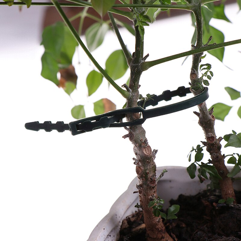 50pcs/lot Adjustable Plastic Plant Cable Ties Reusable Cable Ties For Garden Tree Climbing Support