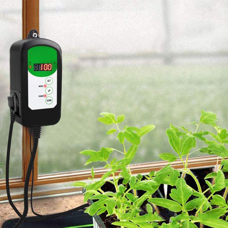 120V US/UK/EU Plug Digital Thermostat Day Night Temperature Control Sensor Regulator for Terrarium Heating Outlet Brooder C42