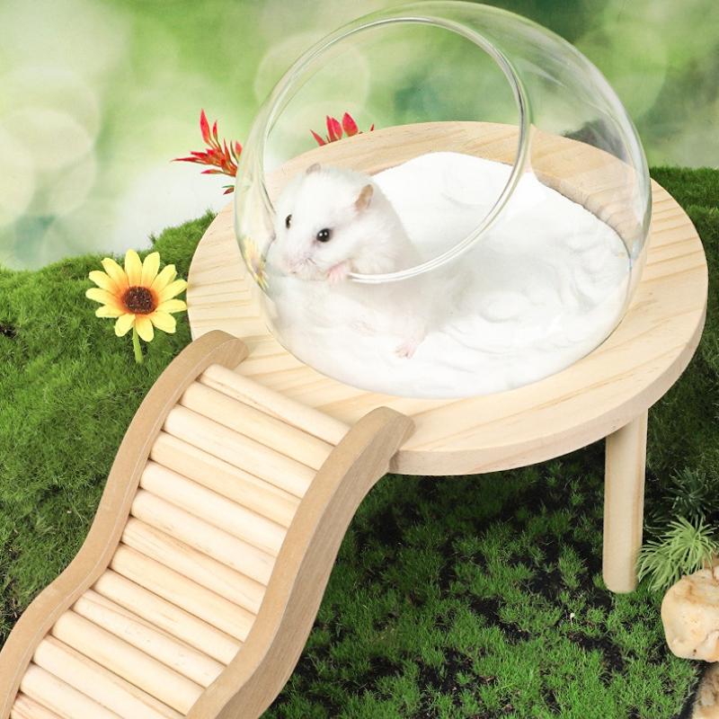 Hamster Bath House with Wooden Ladder Bridge Easy to Clean Climbing Toy Hamster Bathroom Glass Shower Container for Safe Bathing