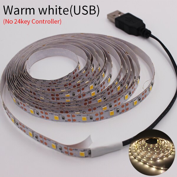 USB RGB LED Strip Light SMD2835 5M 1M 2M 3M 4M 0.5M Diode Tape Flexible Neon Led Light Ribbon LED Strip USB 5V TV Backlight: Warm white / 3M