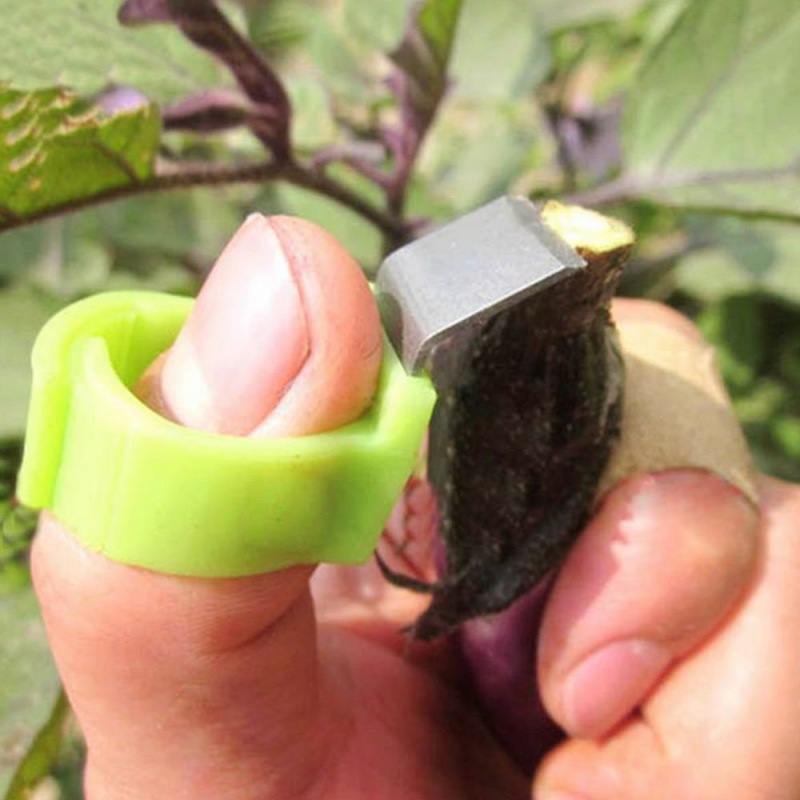 Tuingereedschap Groente Fruit Plukken Blade Tomaat Komkommer Druif Oranje Plukken Vinger Ring Tuin Meloen Schaar Ringen