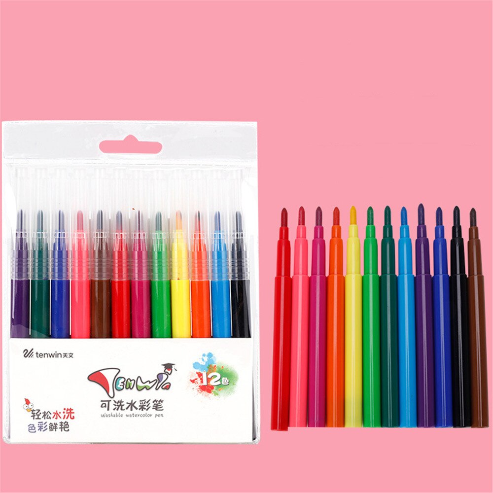 12 Kleuren Elektrische Airbrush Aquarel Pen Set Usb Opladen Elektrische Spray Pen Schilderij Tekening Set Voor Kids School Briefpapier: 12pcs watercolor pen