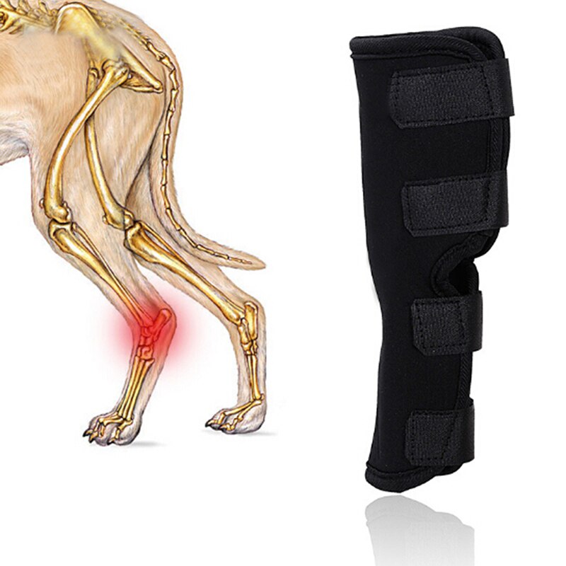 Rodillera protectora para pata trasera de perro, envoltura de corvejes, lesiones transpirables, para el cuidado de piernas de Mascota, 1 unidad,