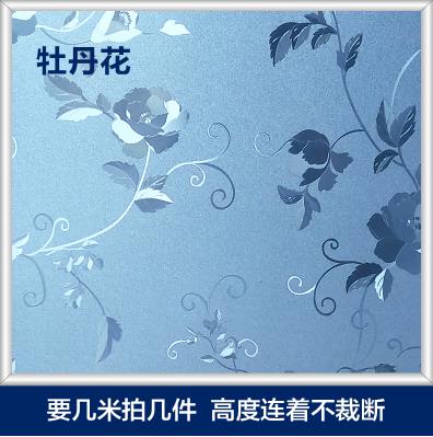 Lijm-gratis elektrostatische film balkon vensterglas sticker doorschijnend ondoorzichtig badkamer badkamer keuken venster sticker-14: NO   08