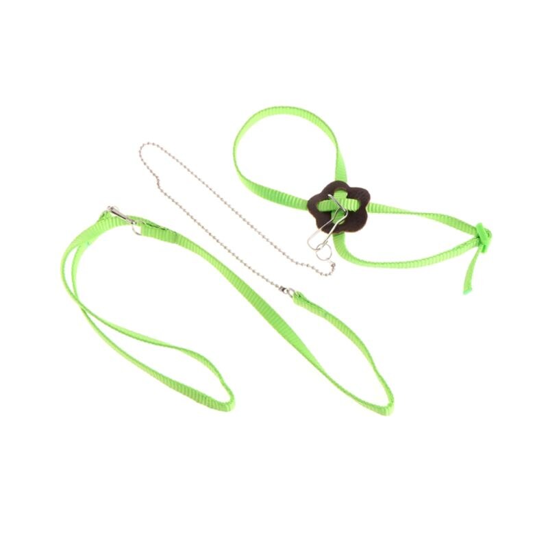 Laisse de harnais d'oiseau de perroquet pour animaux de compagnie corde d'entraînement réglable extérieure sangle de Traction Anti-vol bande souple Portable directe: green