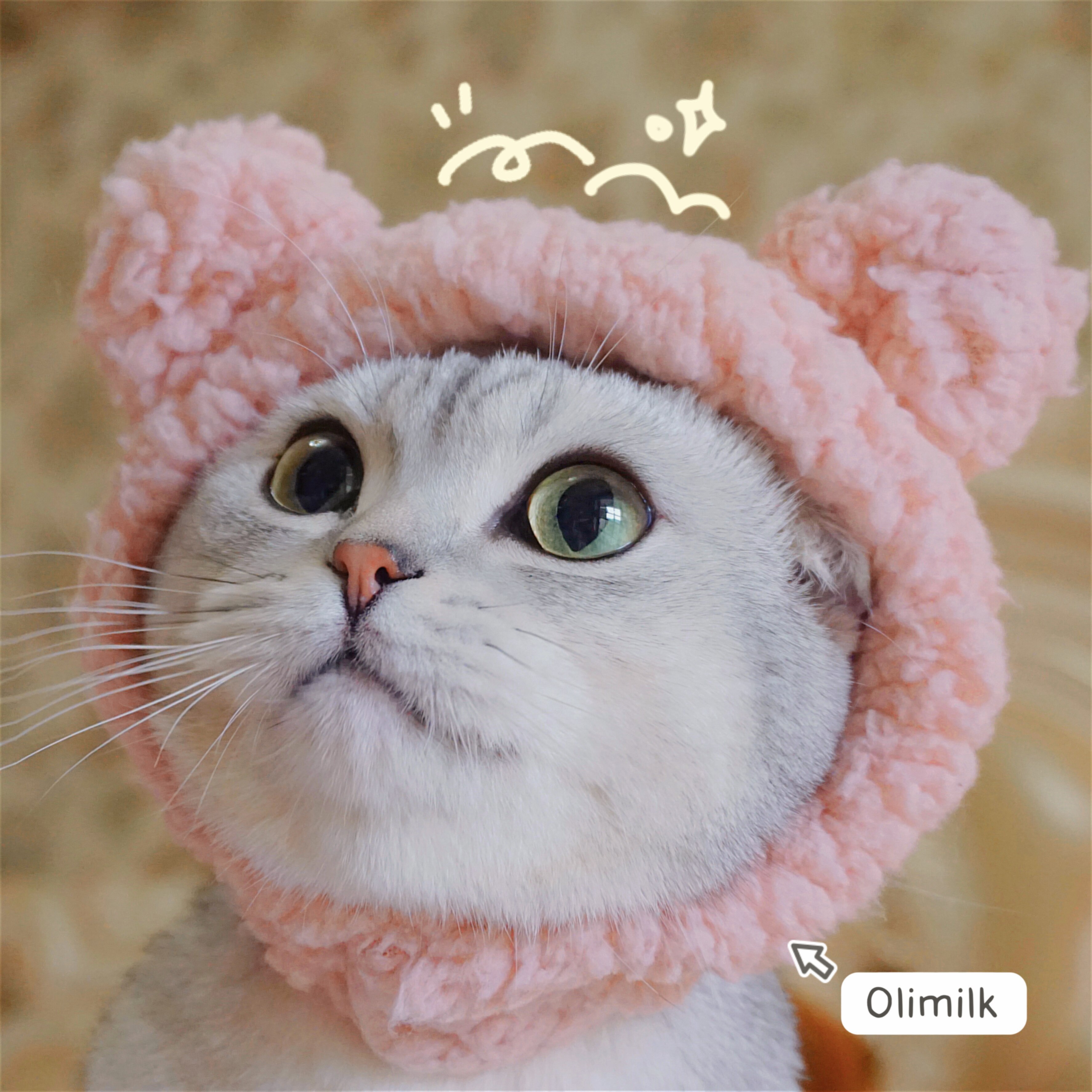 A cute bear pet hat pet dog cat hat dress up headdress puppy cat cosplay costume decoration hat