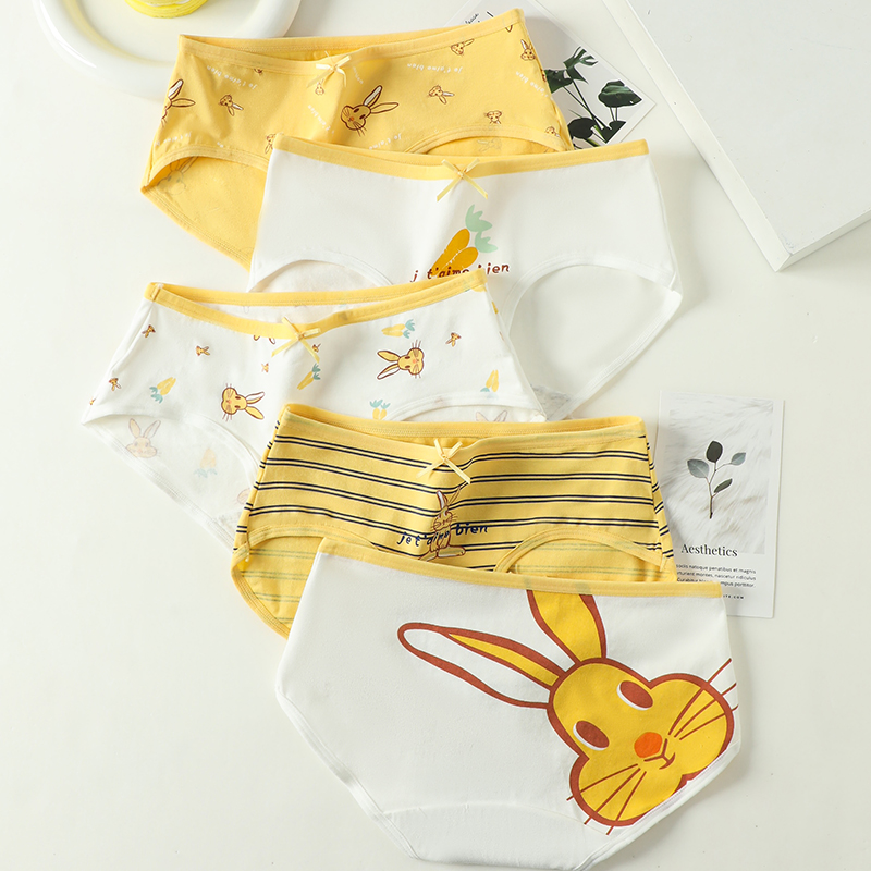 5 uds. Calzoncillos con estampado bonito para chicas jóvenes, bragas de algodón, ropa interior transpirable para mujeres, calzoncillos sexis de tiro bajo para mujeres, lencería femenina
