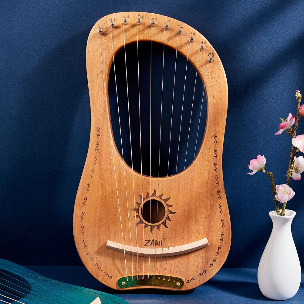 1 Set Praktische Lier Muziekinstrument Met Stemsleutel Picks Spare String