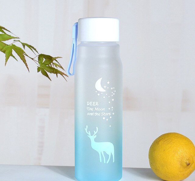 560Ml Sport Water Fles Outdoor Draagbare Gradiënt Frosted Plastic Drinkbeker Meisje Lekvrij -Proof Shaker Mok Waterkoker: Blue1
