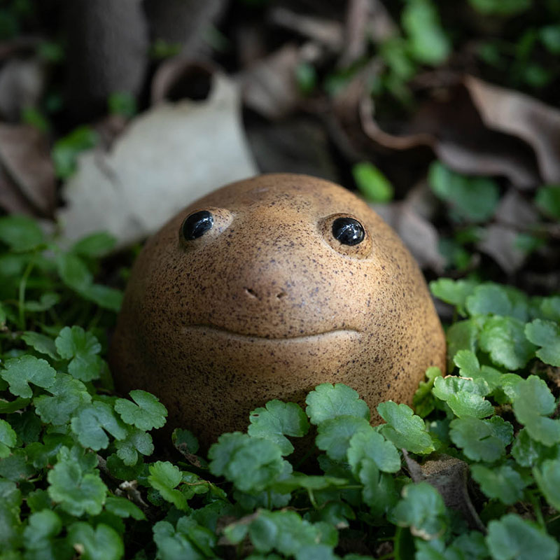 5CM Lucky Frog Tea Pet Zen Tea Set Coarse Pottery Porcelain Handmade Chinese Animal Cute Modern Style Home Decor