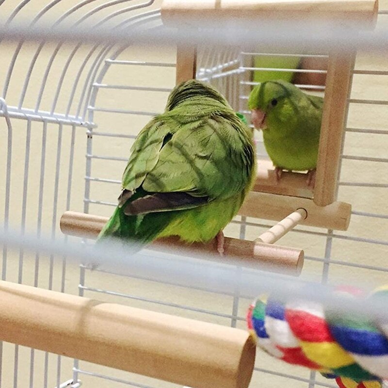2 Packs Van Vink Papegaaien Met Wuivende Vogel Spiegel Vogel Baars Staande Pole