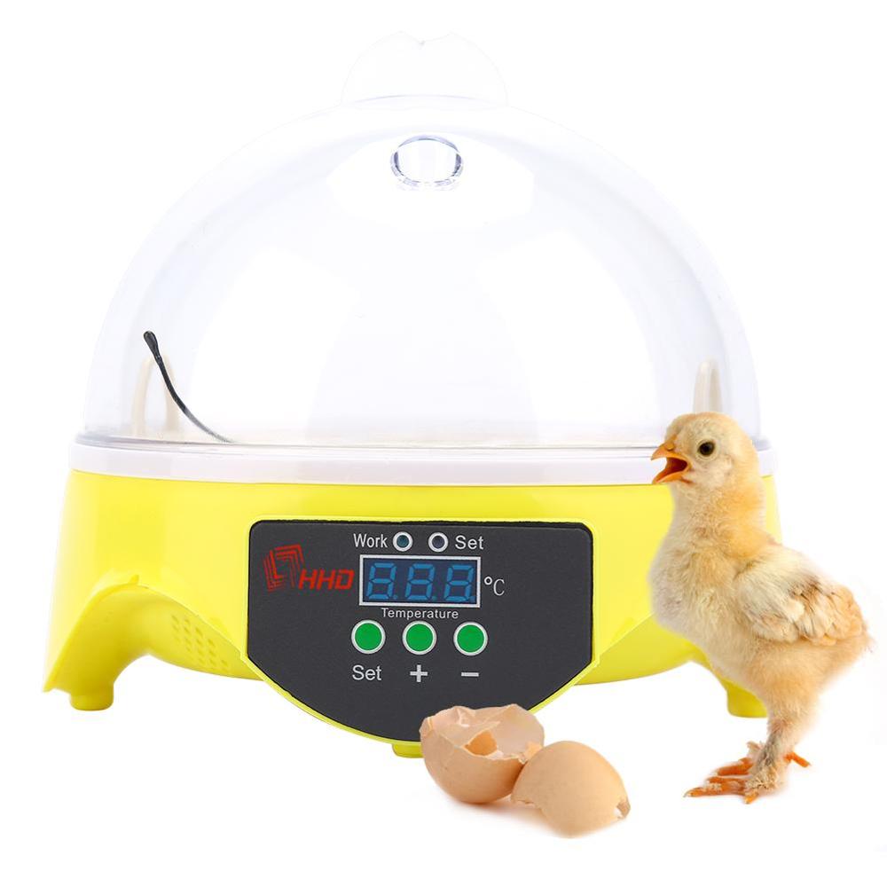 Incubadora Manual Digital transparente, 7 huevos, Incubadora de aves de corral, pollo, pato, herramientas